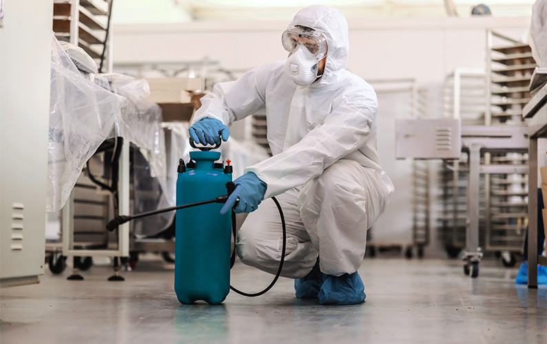 Pest Control Services Image